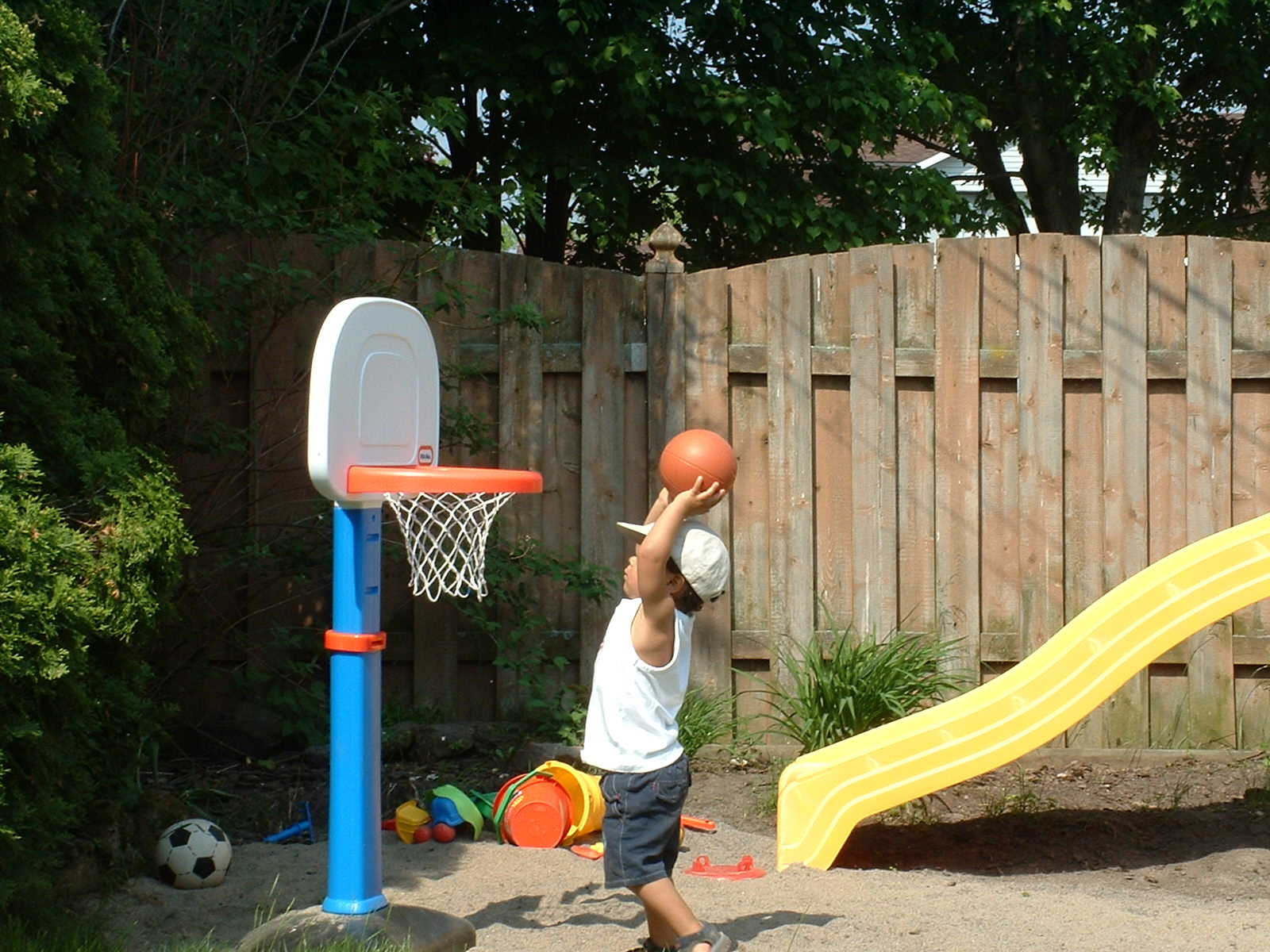 dunking.jpg